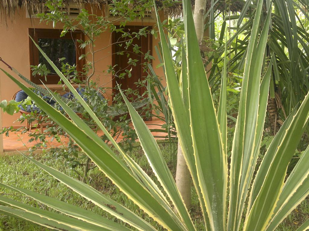 Botanica Guesthouse Kep Eksteriør billede