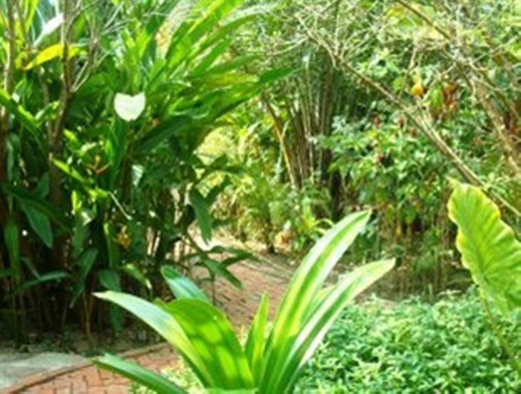 Botanica Guesthouse Kep Eksteriør billede